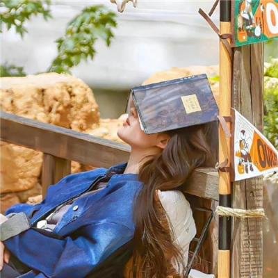 我的野蛮女友 海报