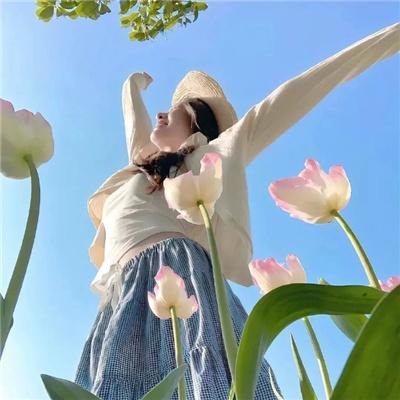 孤胆特工